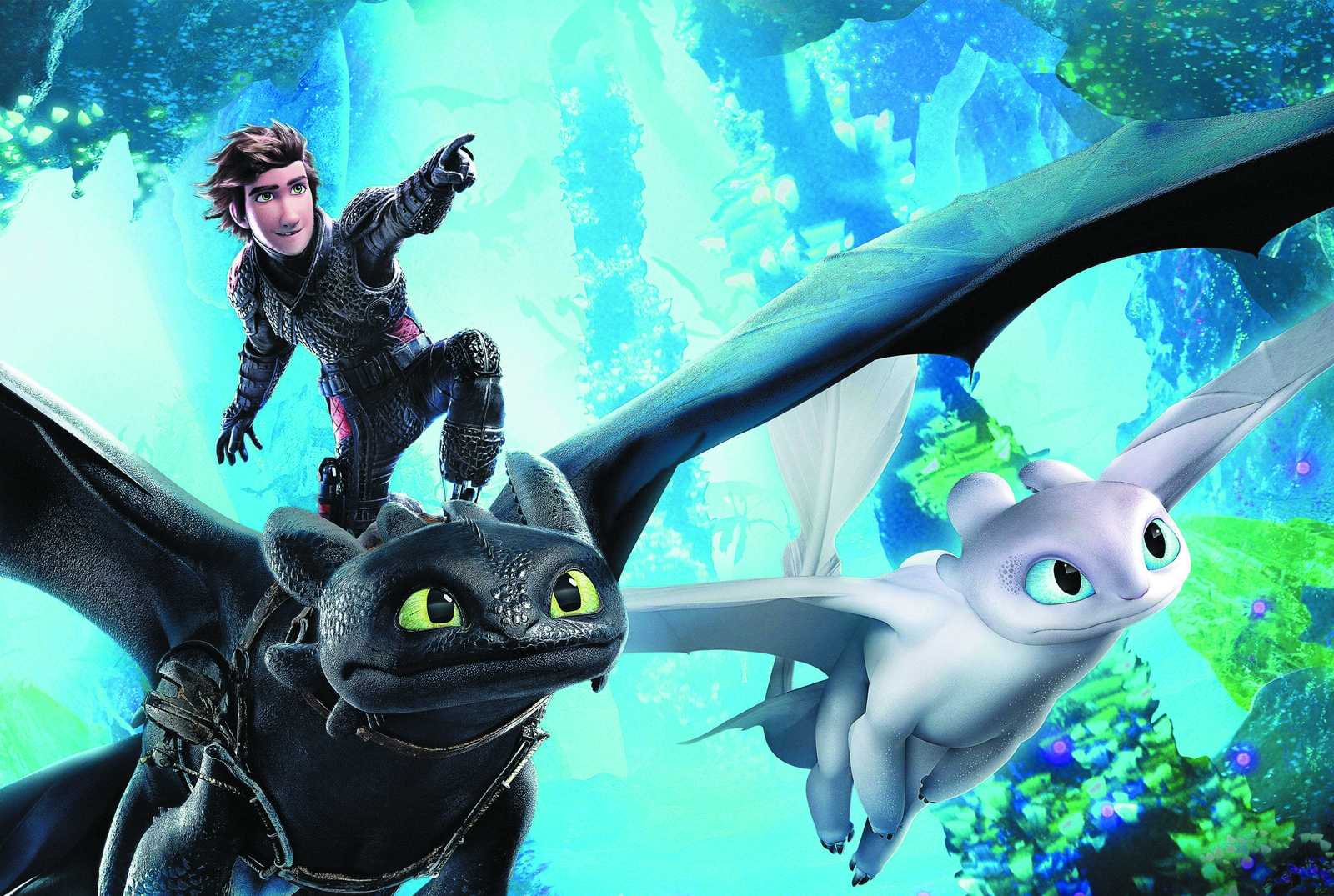 Hiccup & Toothless Flight Wall Art
