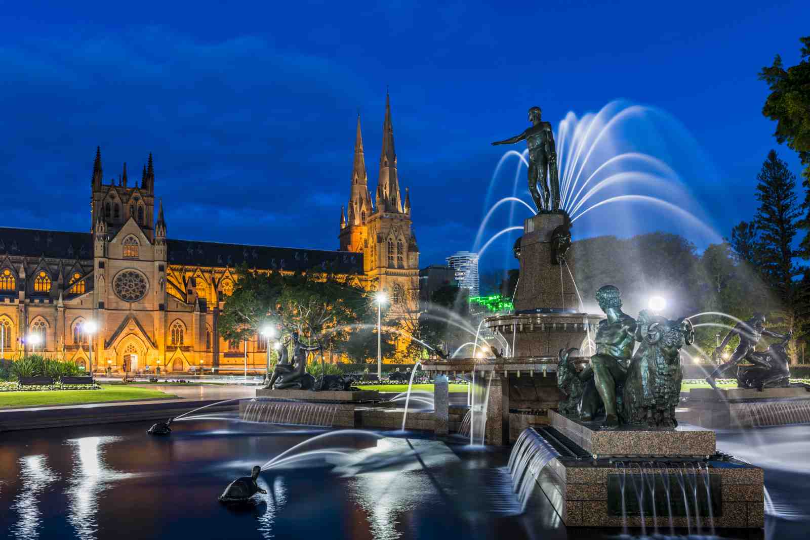Sydney Cathedral Fountain at Dusk Wall Art