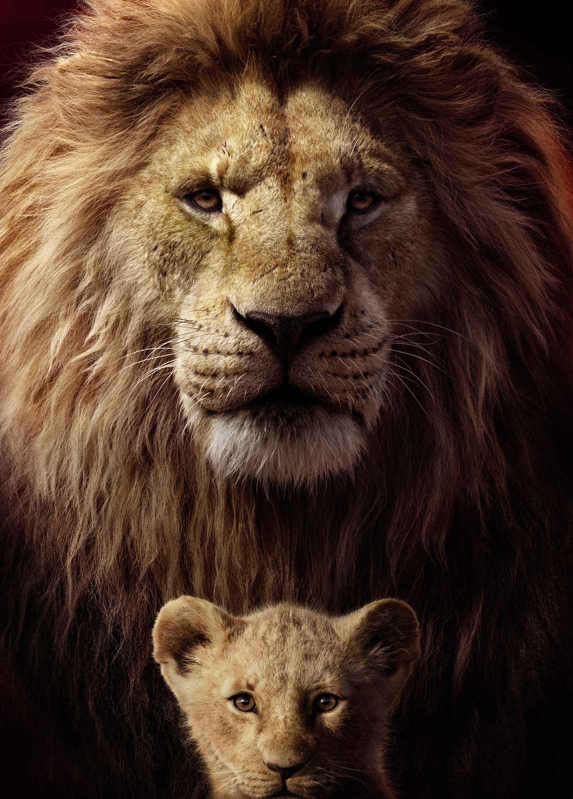 Majestic Lion and Cub Wall Art Wall Art