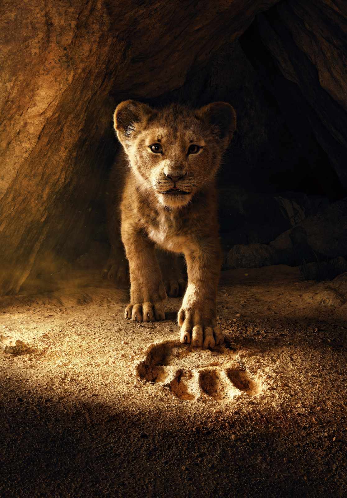 Majestic Lion Cub Paw Print Wall Art