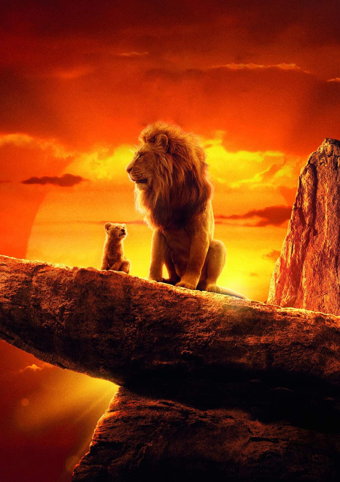 Majestic Lion & Cub Sunset Wall Art