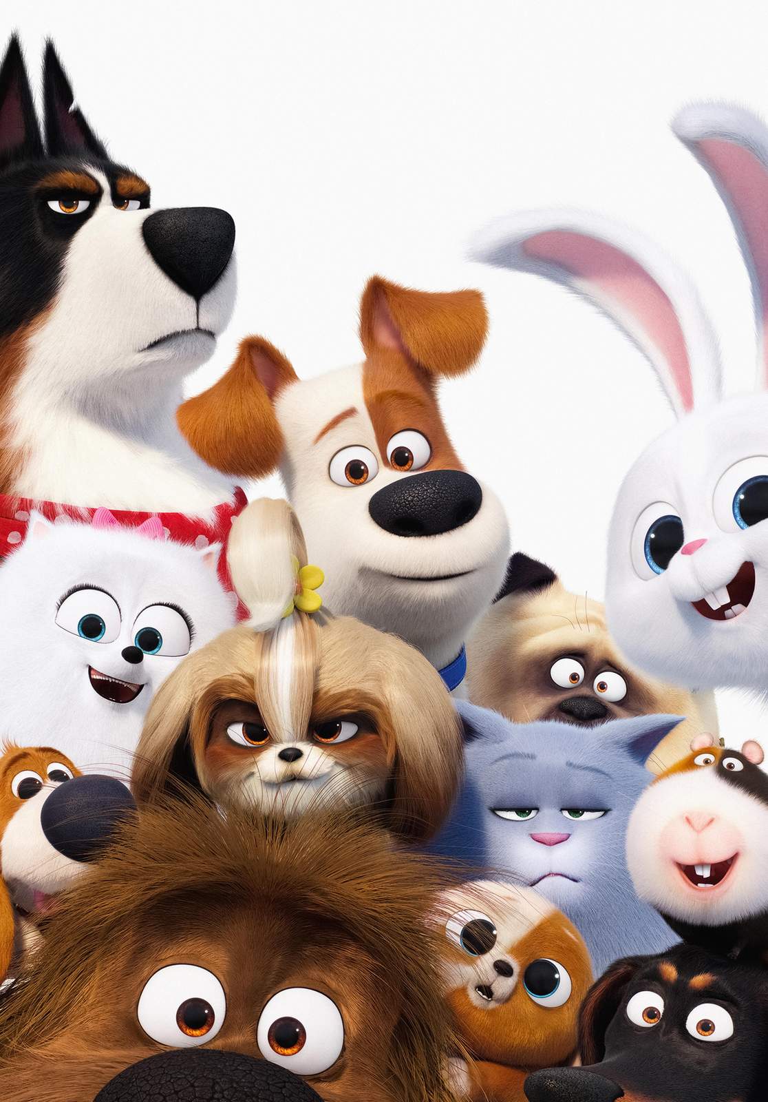 The Secret Life of Pets Characters Wall Art
