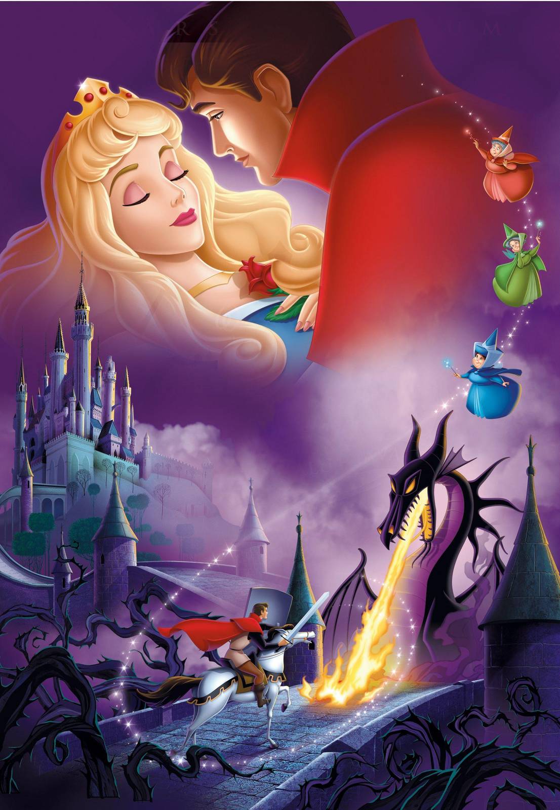 Fairy Tale Romance & Dragon Battle Wall Art