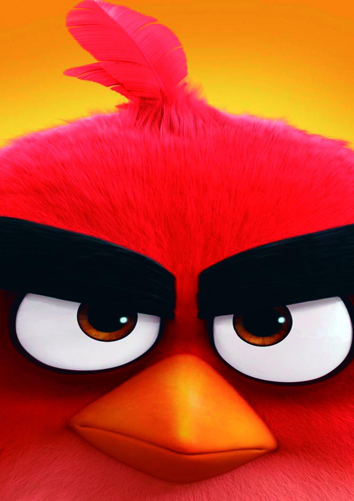 Angry Red Bird Close-Up Wall Art