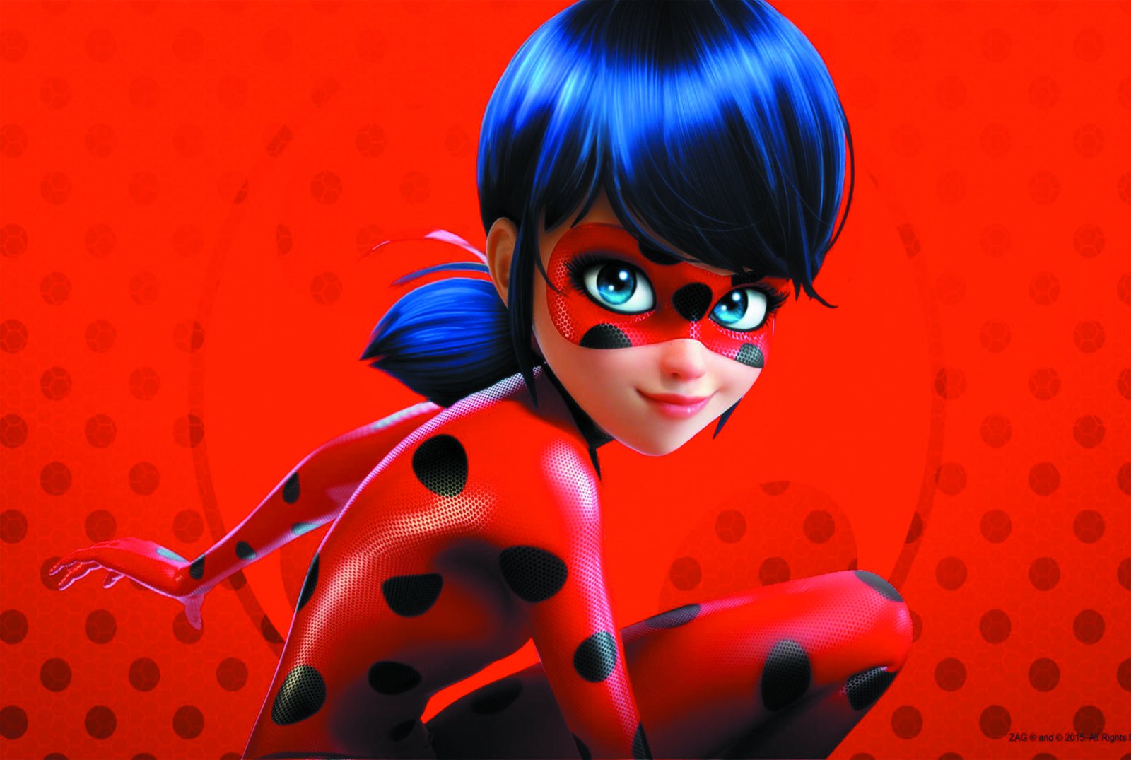 Miraculous Ladybug Hero Wall Art