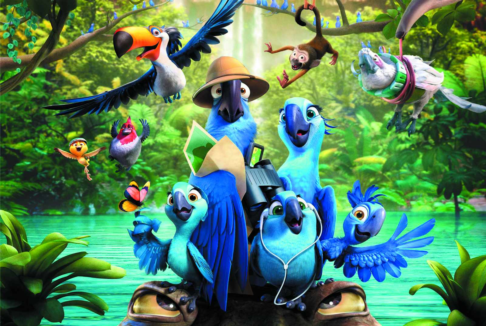 Vibrant Jungle Birds Adventure Wall Art