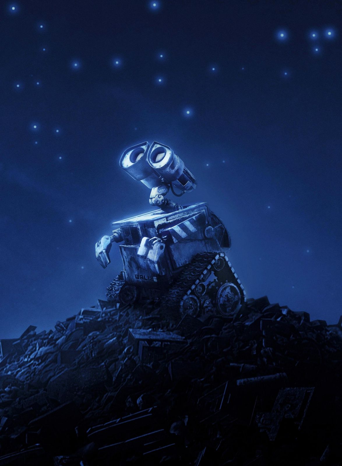 WALL-E Under Starry Sky Wall Art