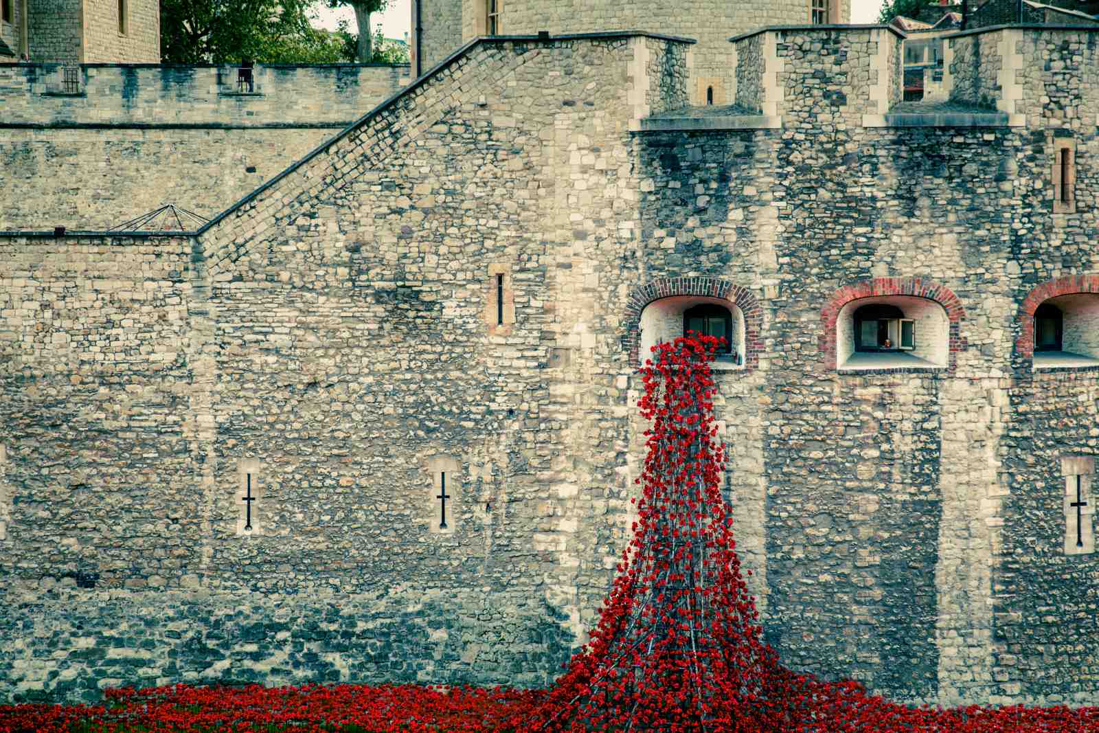 Poignant Poppy Cascade Tower of London Wall Art