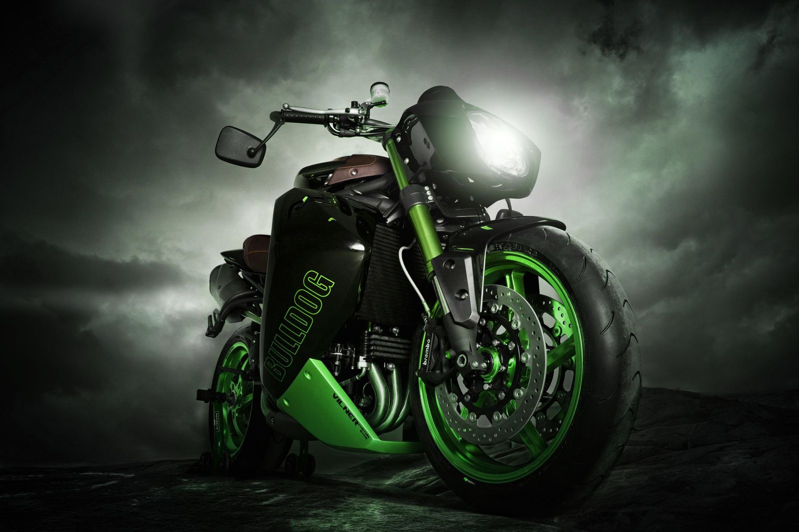 Aggressive Bulldog Motorcycle Green Accents Wall Art