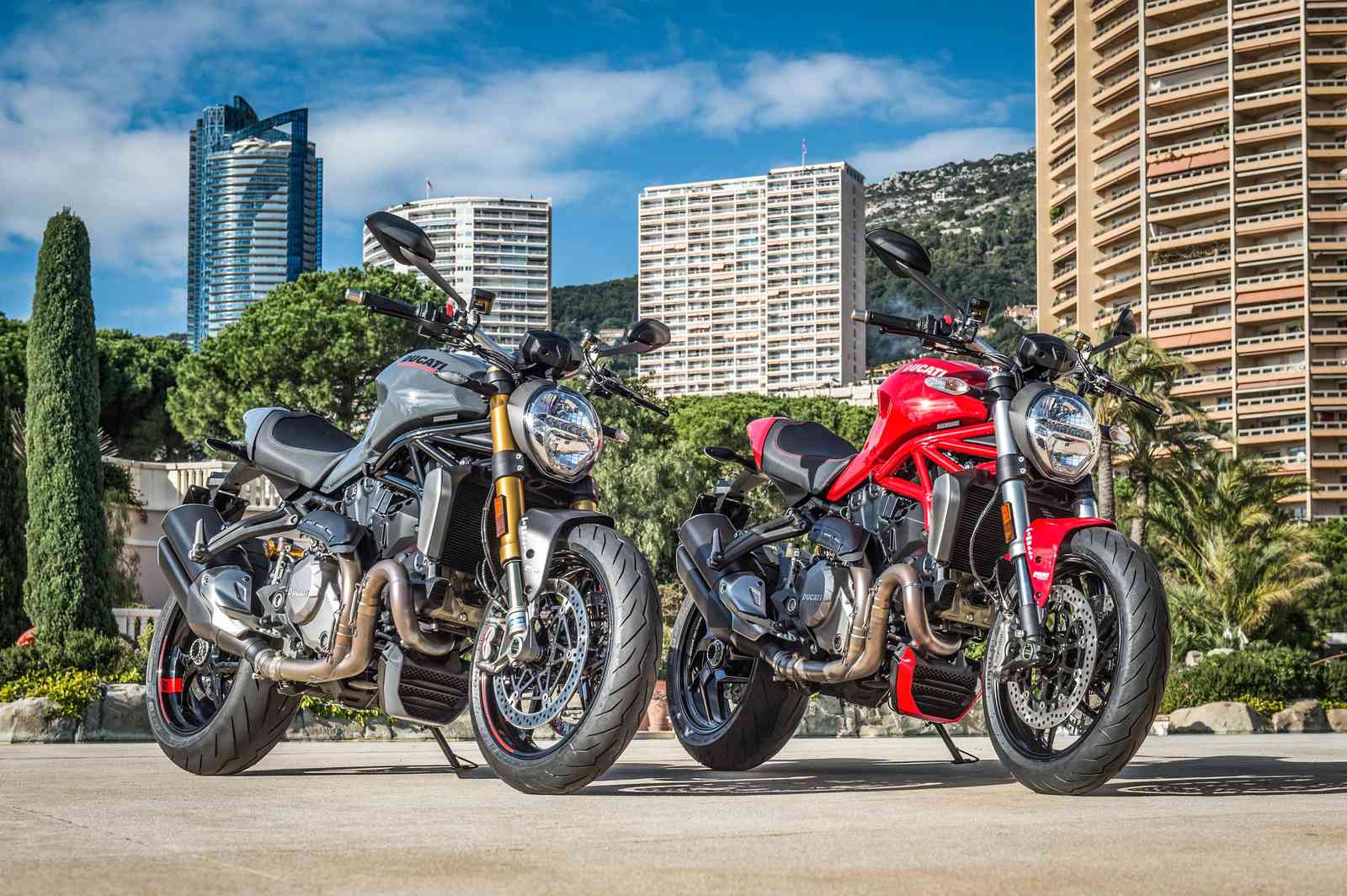 Ducati Power Duo Motorcycle Wall Art
