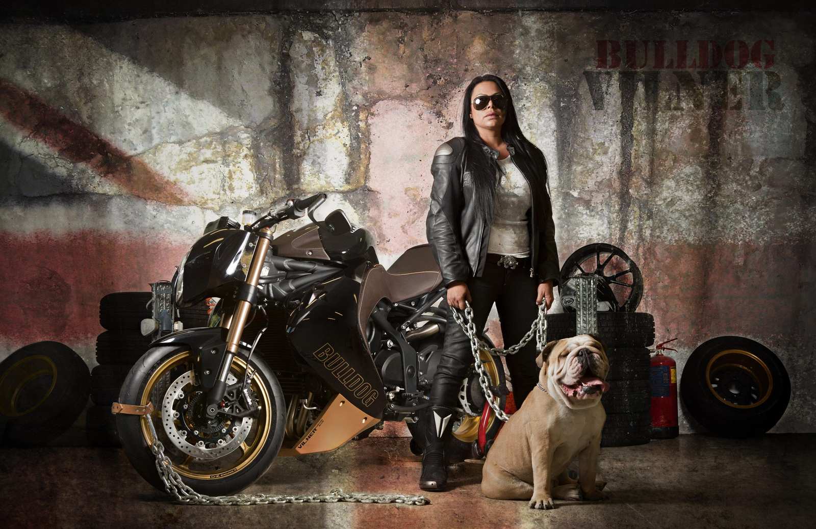Bulldog Rider & Bike Wall Art