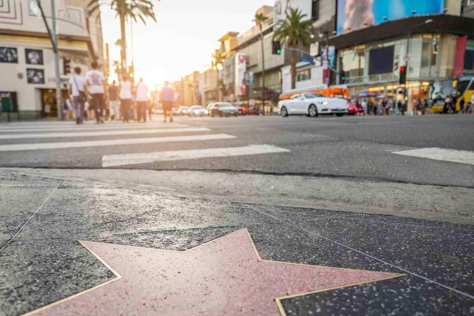 Hollywood Walk of Fame Star Wall Art