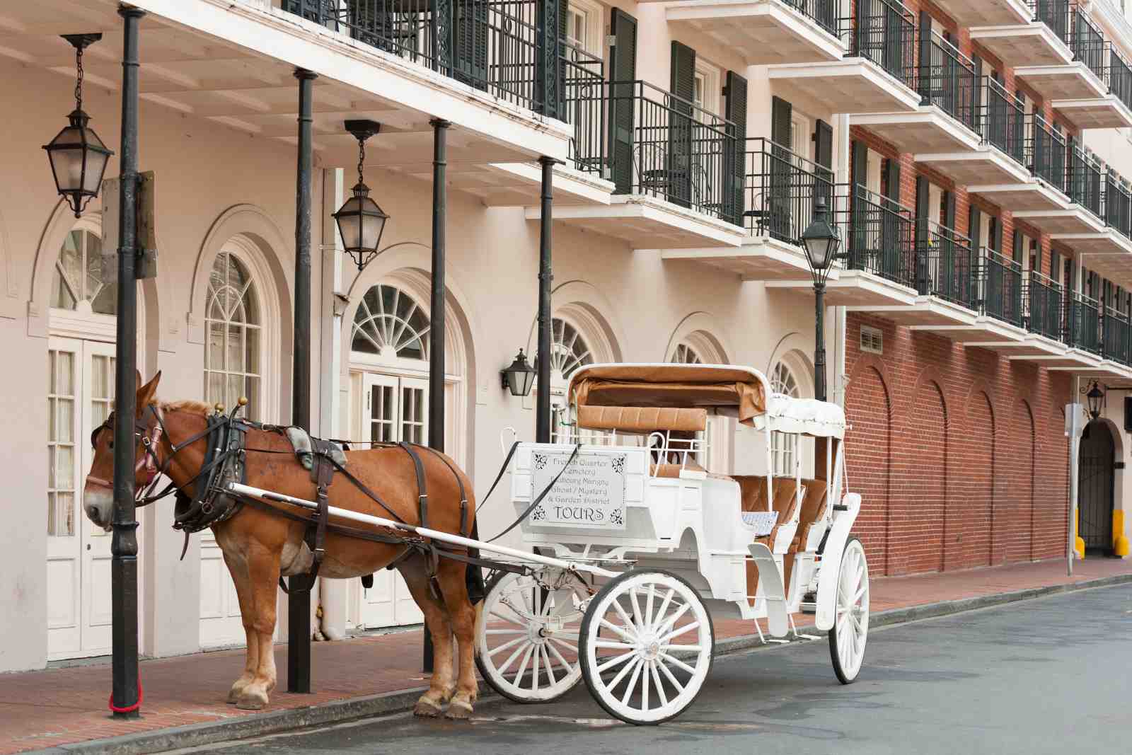 New Orleans Horse Carriage Vintage Wall Art