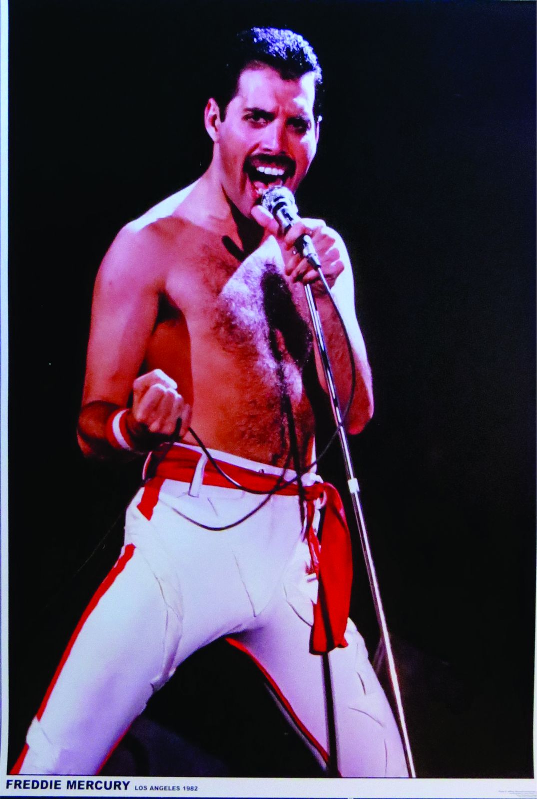 Iconic Freddie Mercury Live Performance Wall Art
