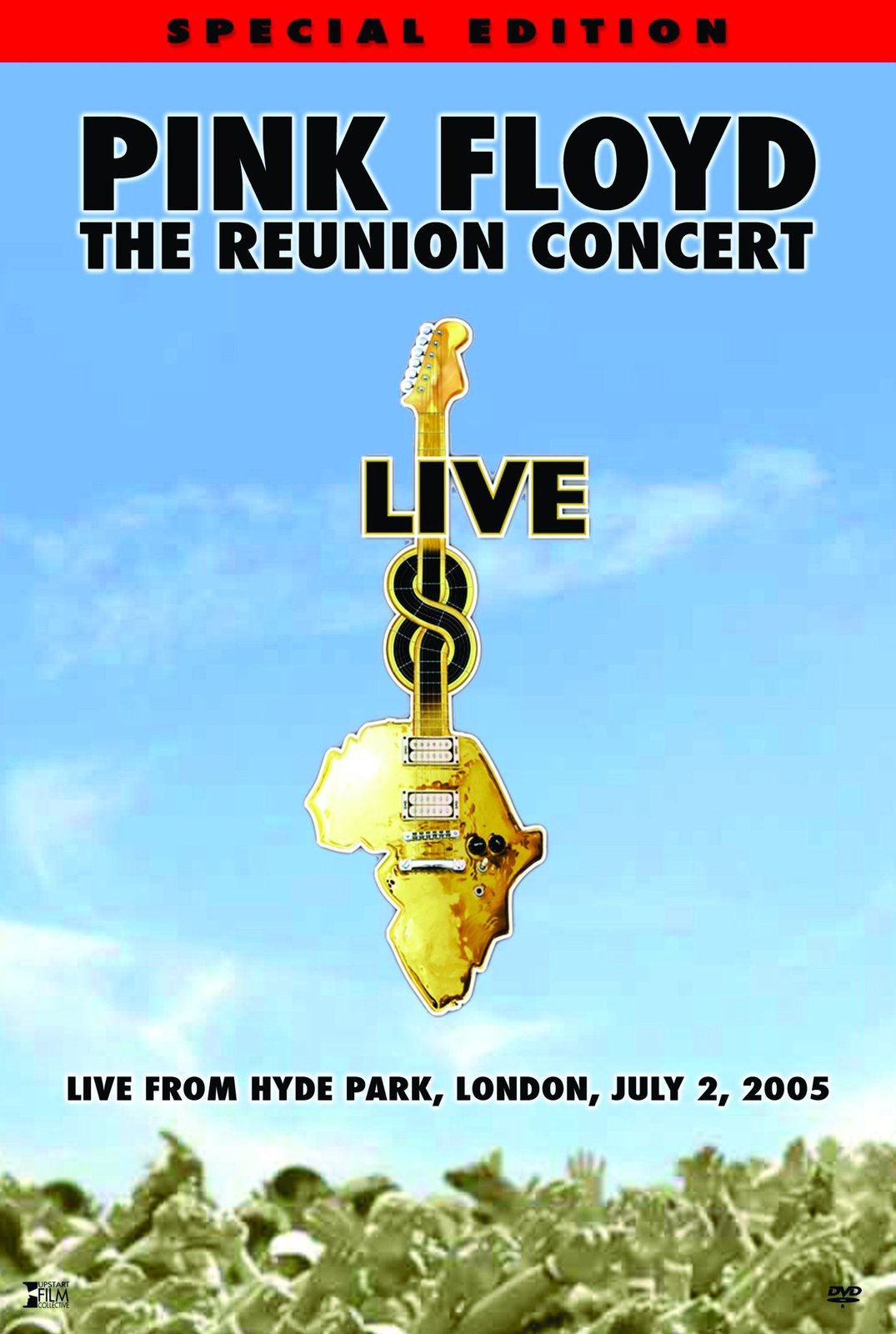 Pink Floyd Reunion Concert Africa Guitar Wall Art