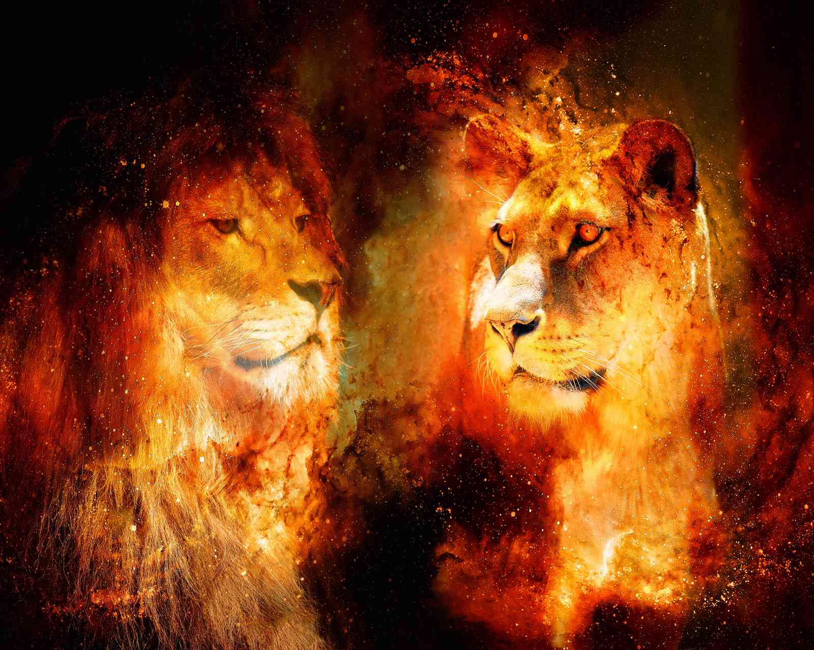Fiery Lion King & Queen Wall Art