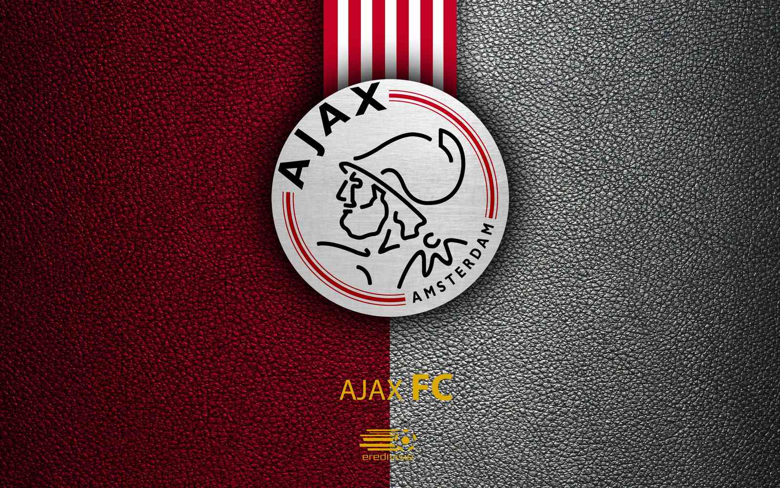 Ajax Amsterdam Football Club Logo Wall Art