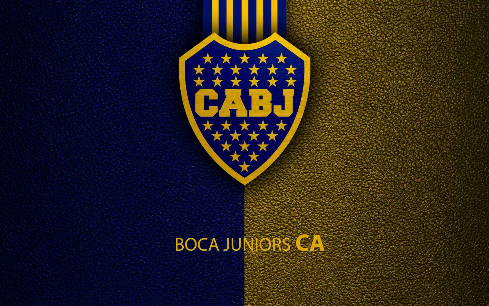 Boca Juniors CABJ Football Logo Wall Art