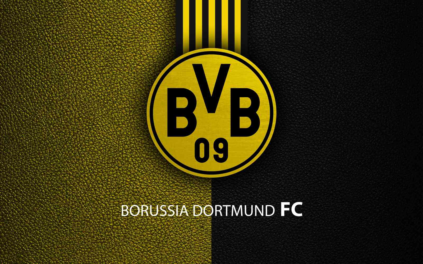 Borussia Dortmund FC Logo Wall Art