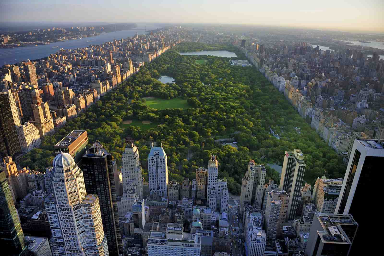 New York Central Park Aerial Wall Art