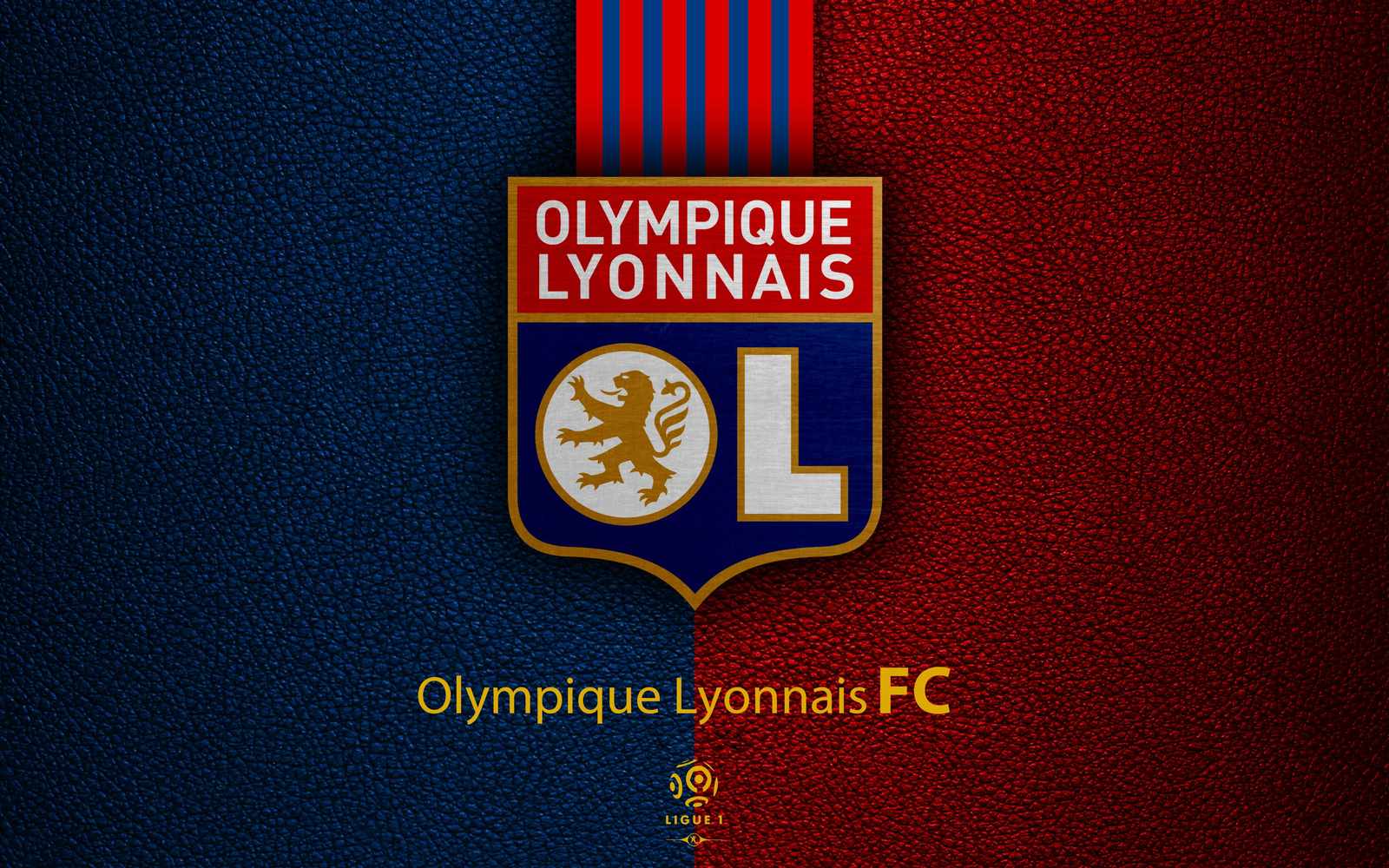 Olympique Lyonnais FC Crest Wall Art