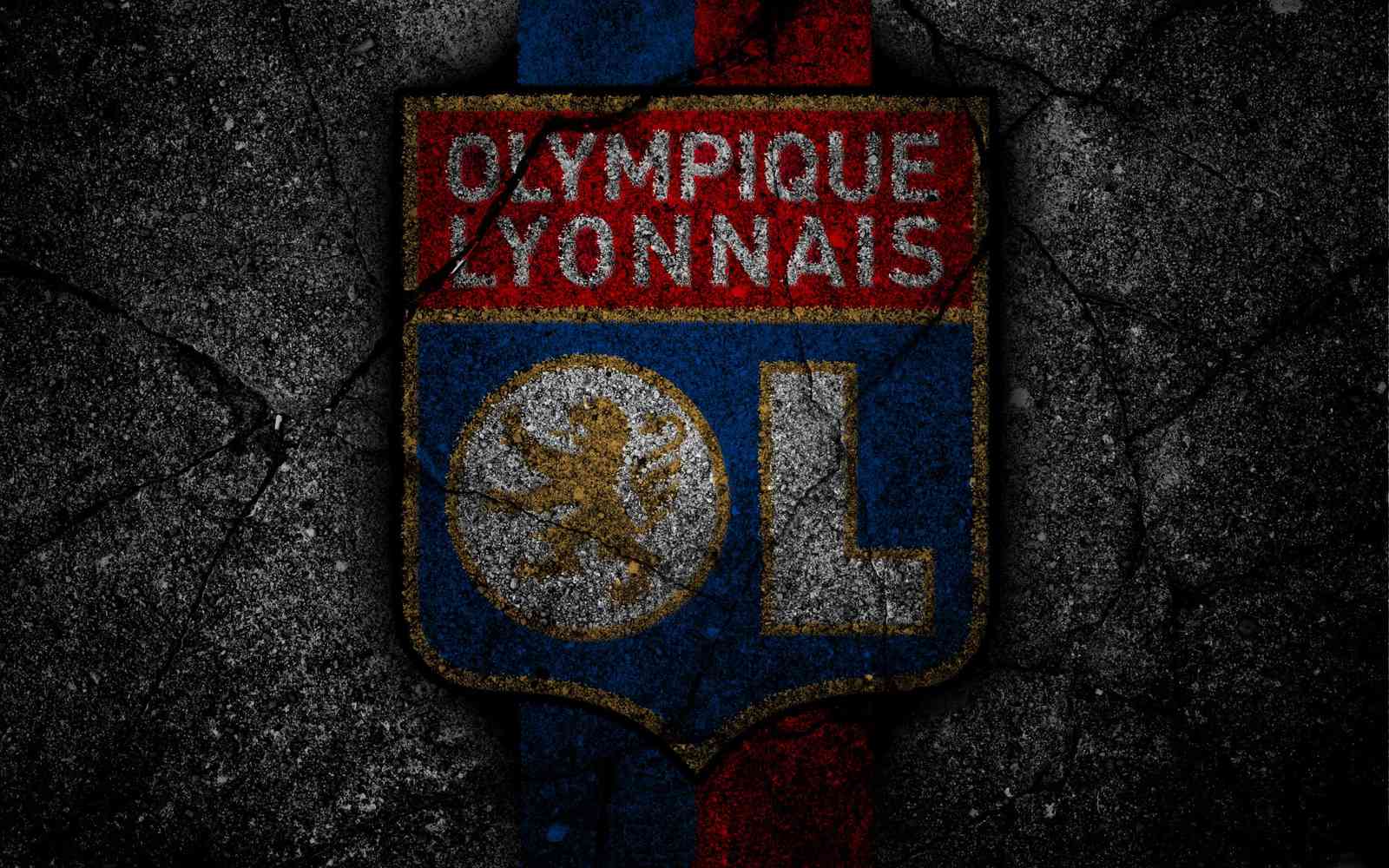 Olympique Lyon Grunge Logo Wall Art