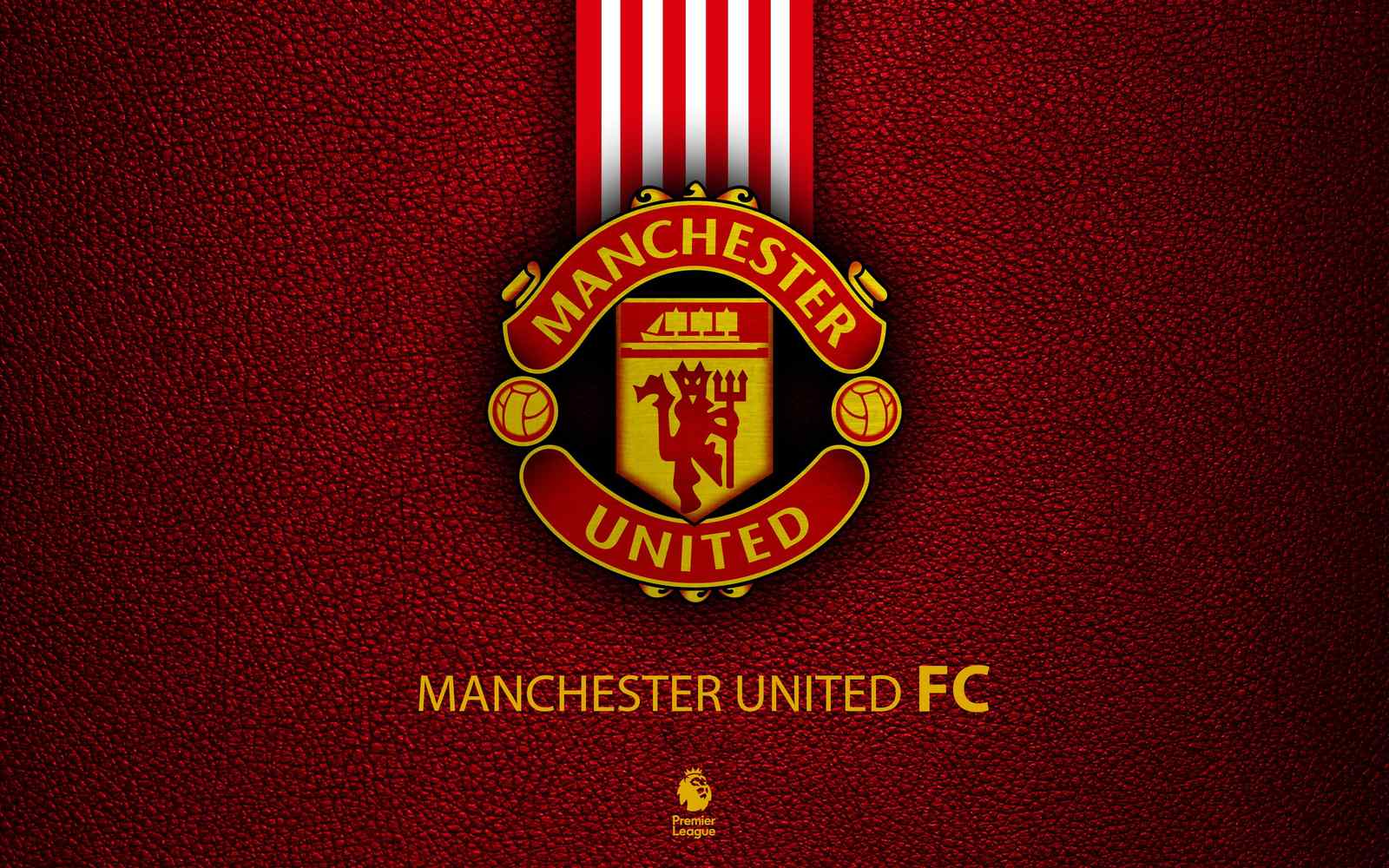 Manchester United FC Logo Red Texture Wall Art