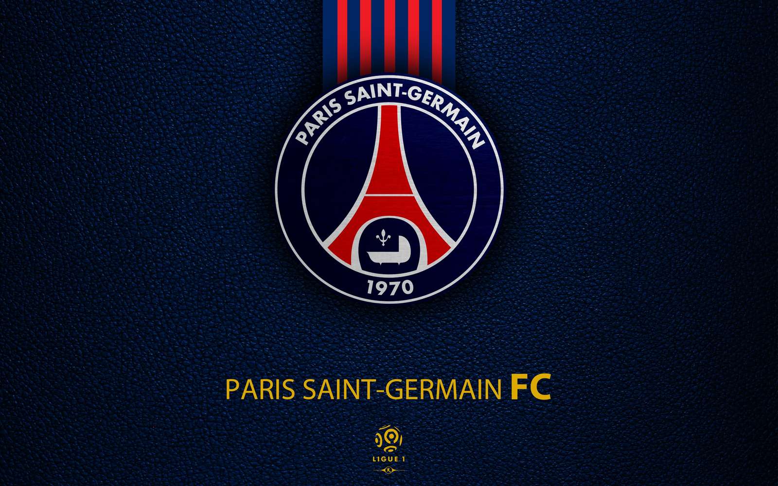 PSG Paris Saint-Germain FC Logo Wall Art Wall Art