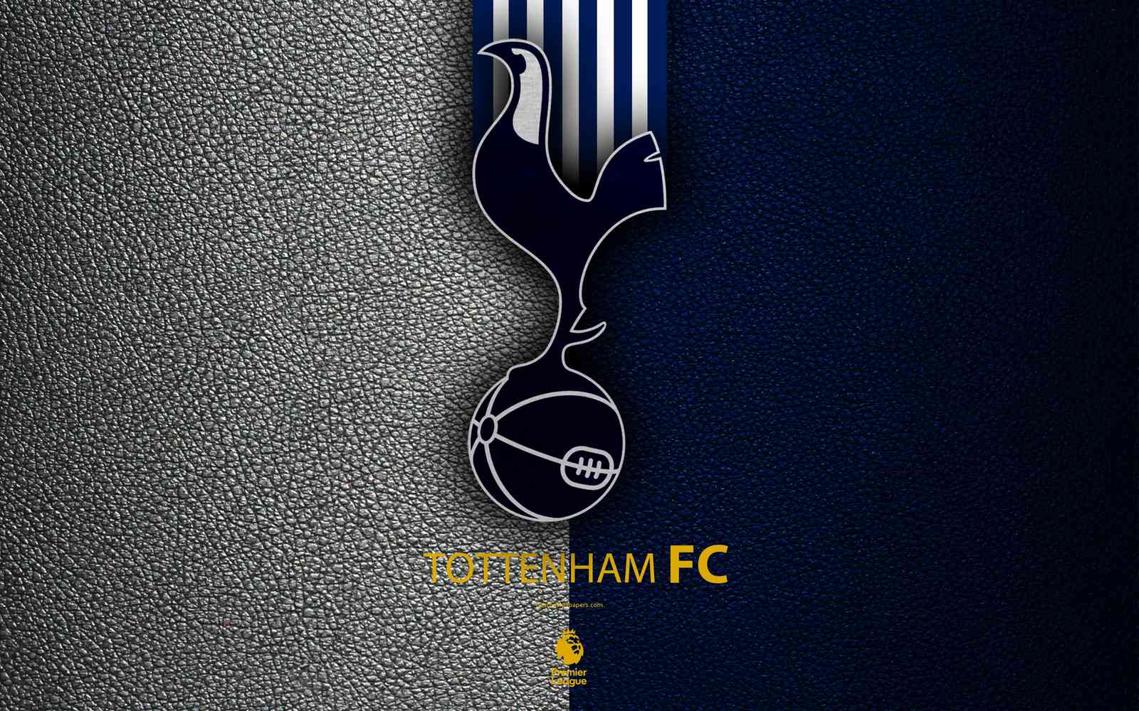 Tottenham Hotspur FC Premier League Wall Art