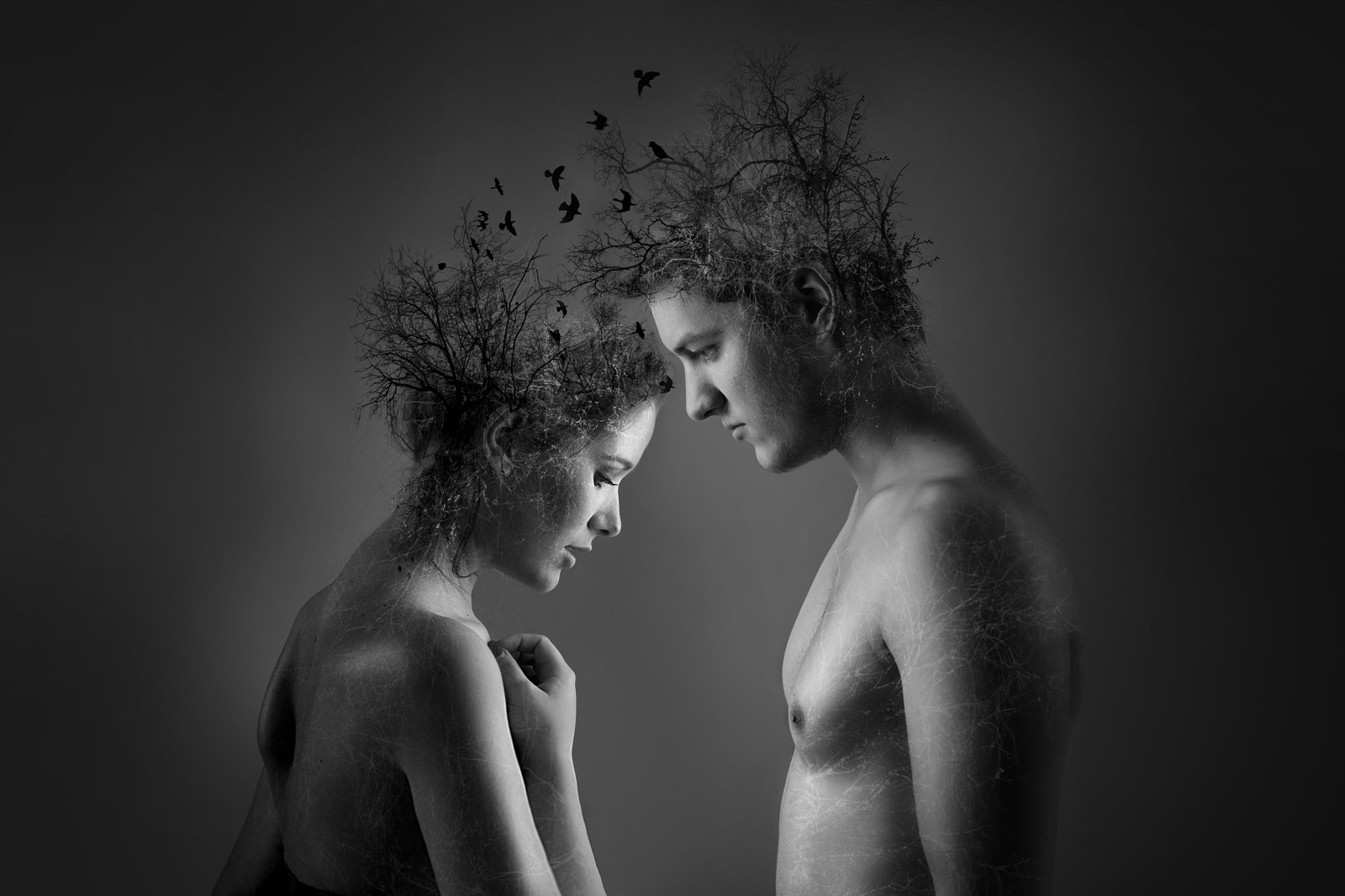 Surreal Love Duo Tree Head Wall Art