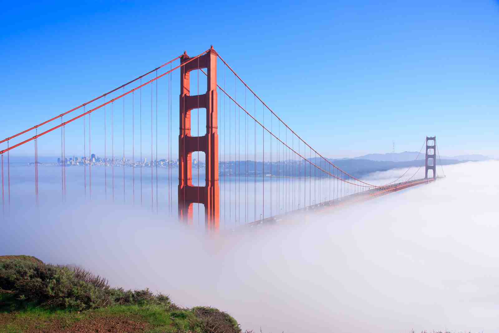 Golden Gate Bridge Foggy Morning Wall Art