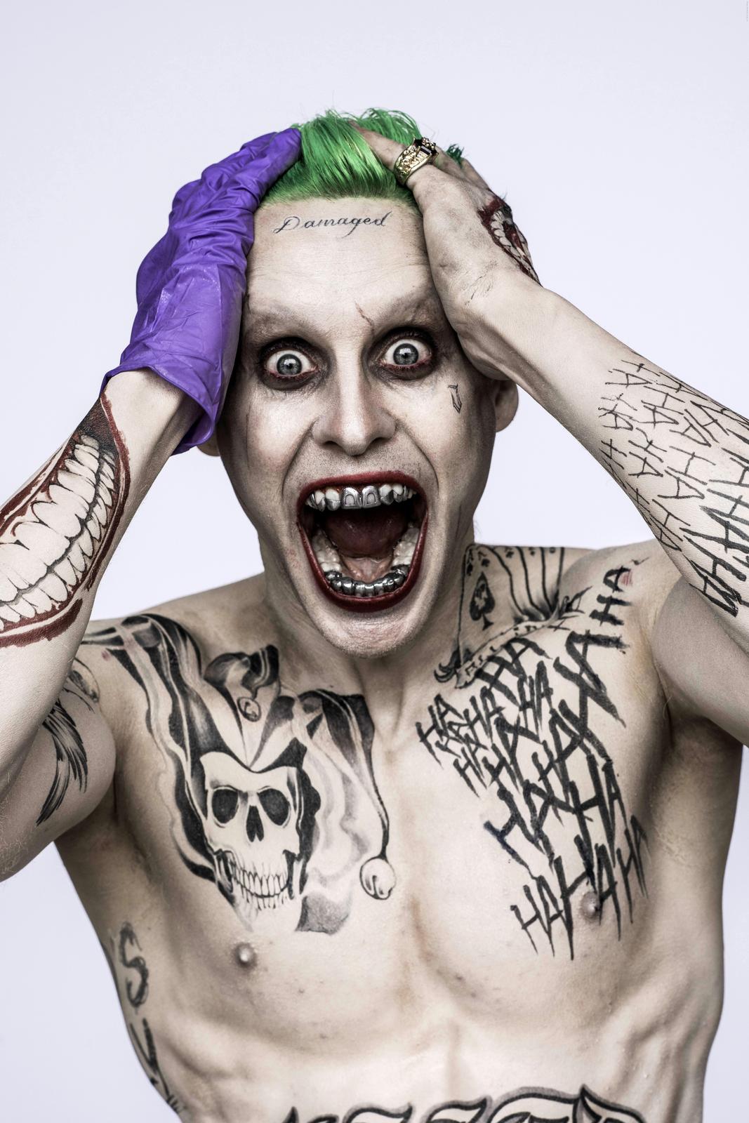 Joker "Damaged" Movie Character Wall Art