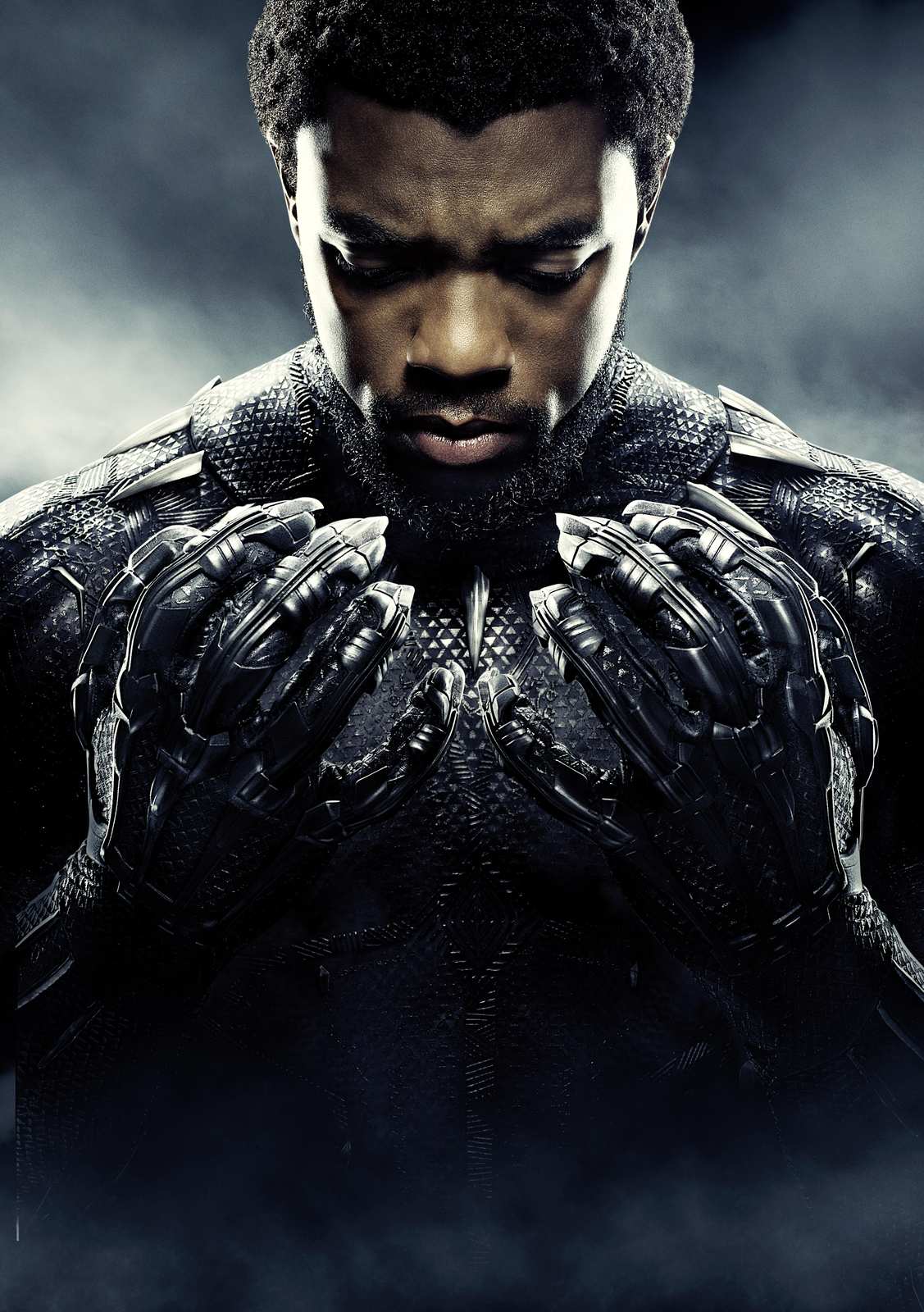 Black Panther Chadwick Boseman Wall Art