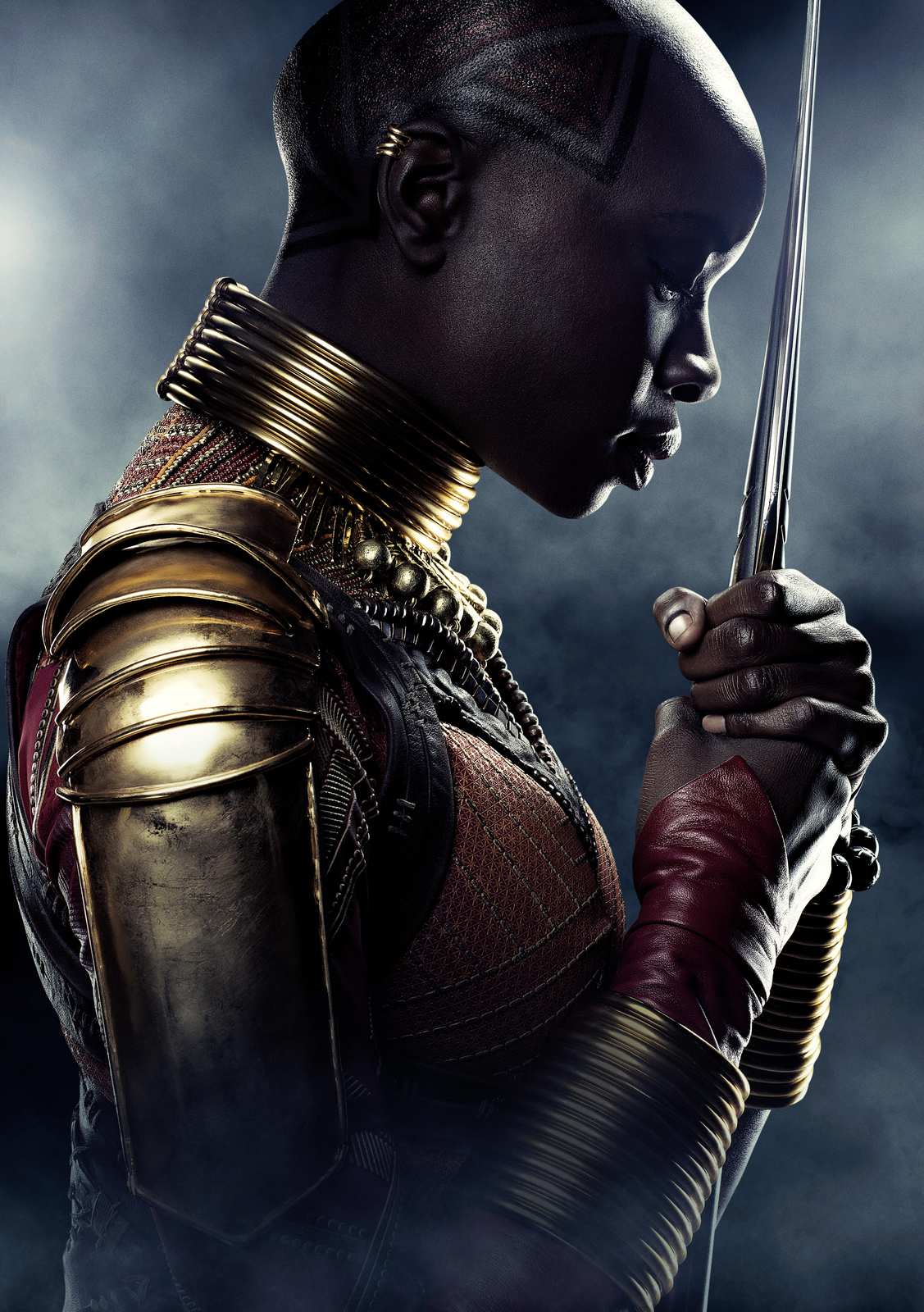 Okoye Warrior Portrait Wall Art
