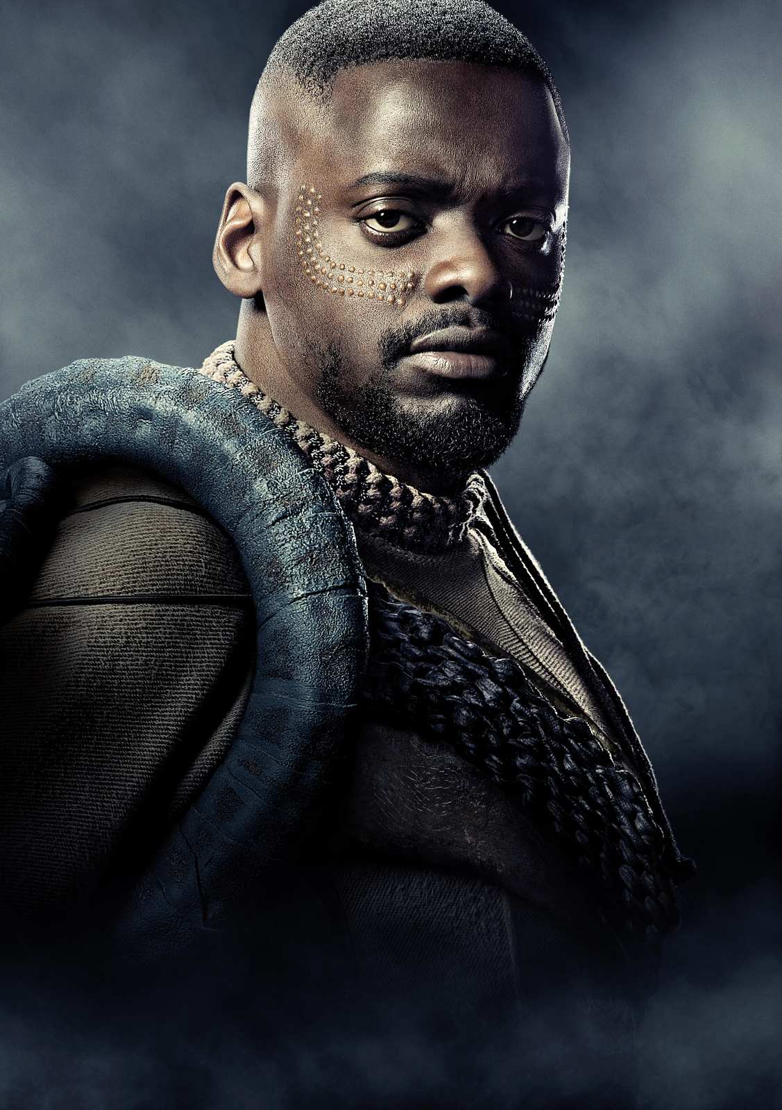 M'Baku Warrior King Wall Art