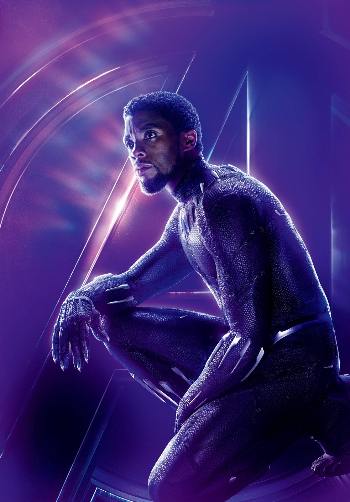 Black Panther Cinematic Pose Wall Art
