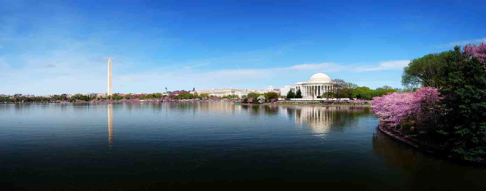 Washington DC Cherry Blossom Tidal Basin Wall Art