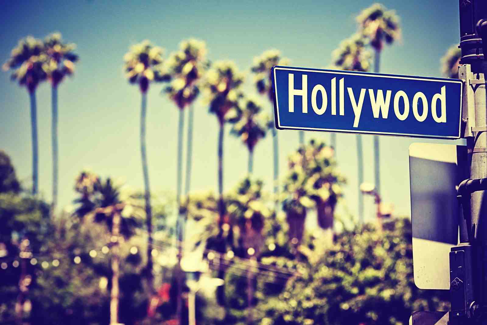 Hollywood Palm Trees Vintage Street Sign Wall Art