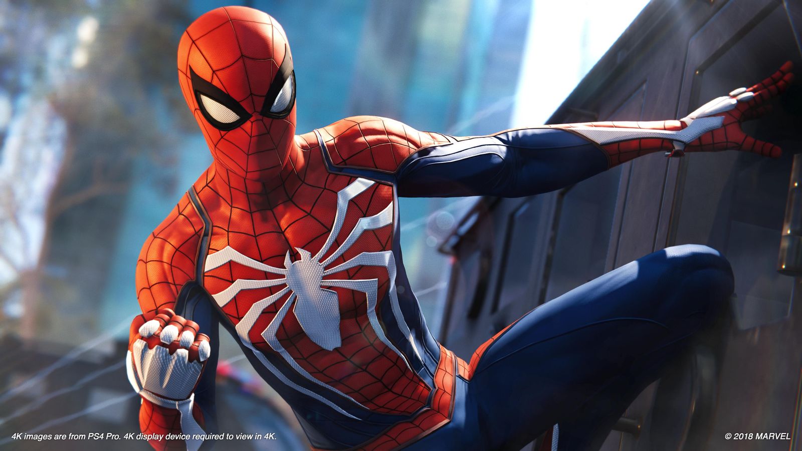 Dynamic Spider-Man Action Wall Art
