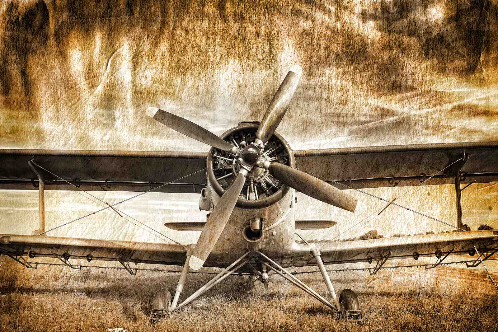 Vintage Biplane Adventure Wall Art