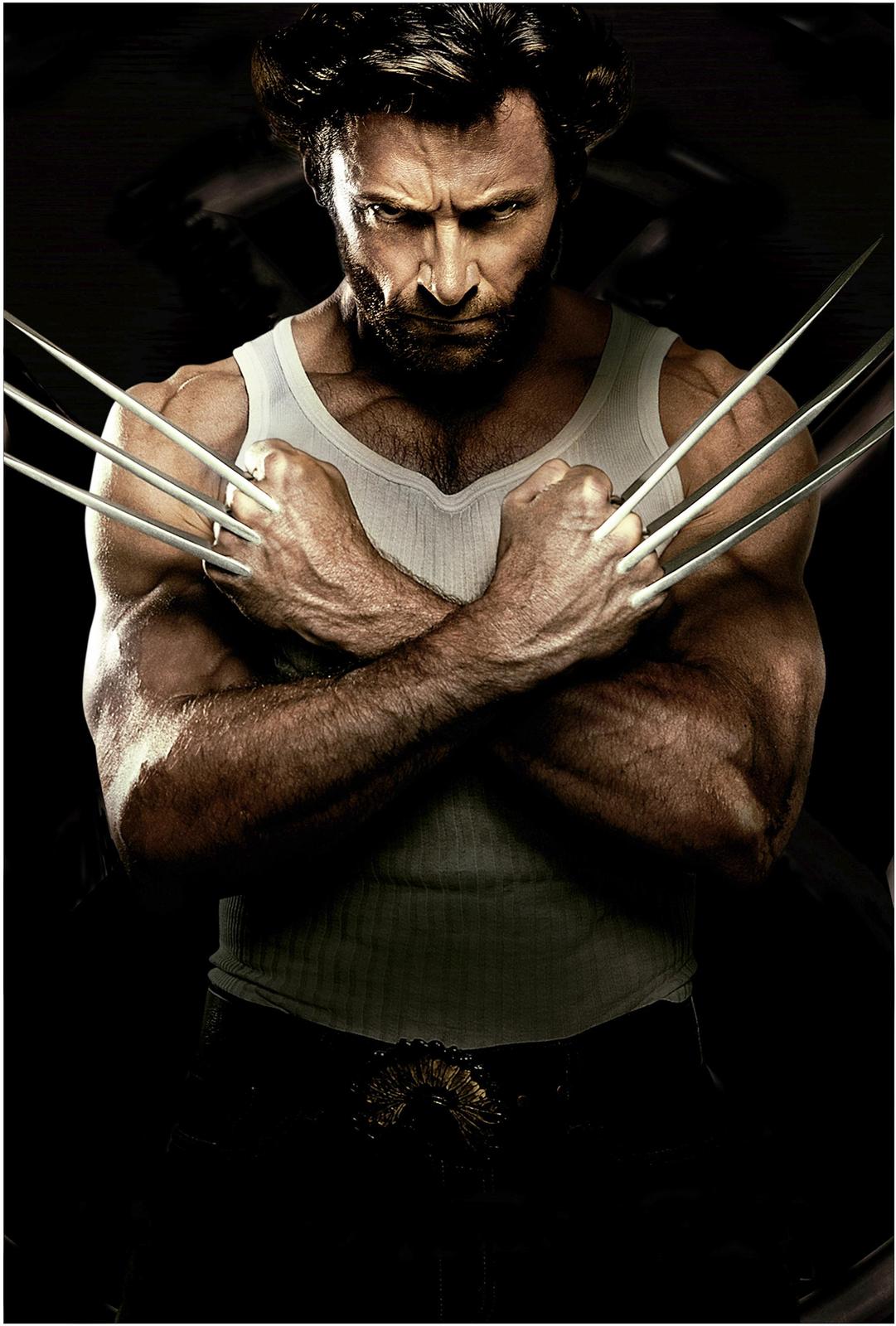Wolverine "The Wolverine" Art Wall Art