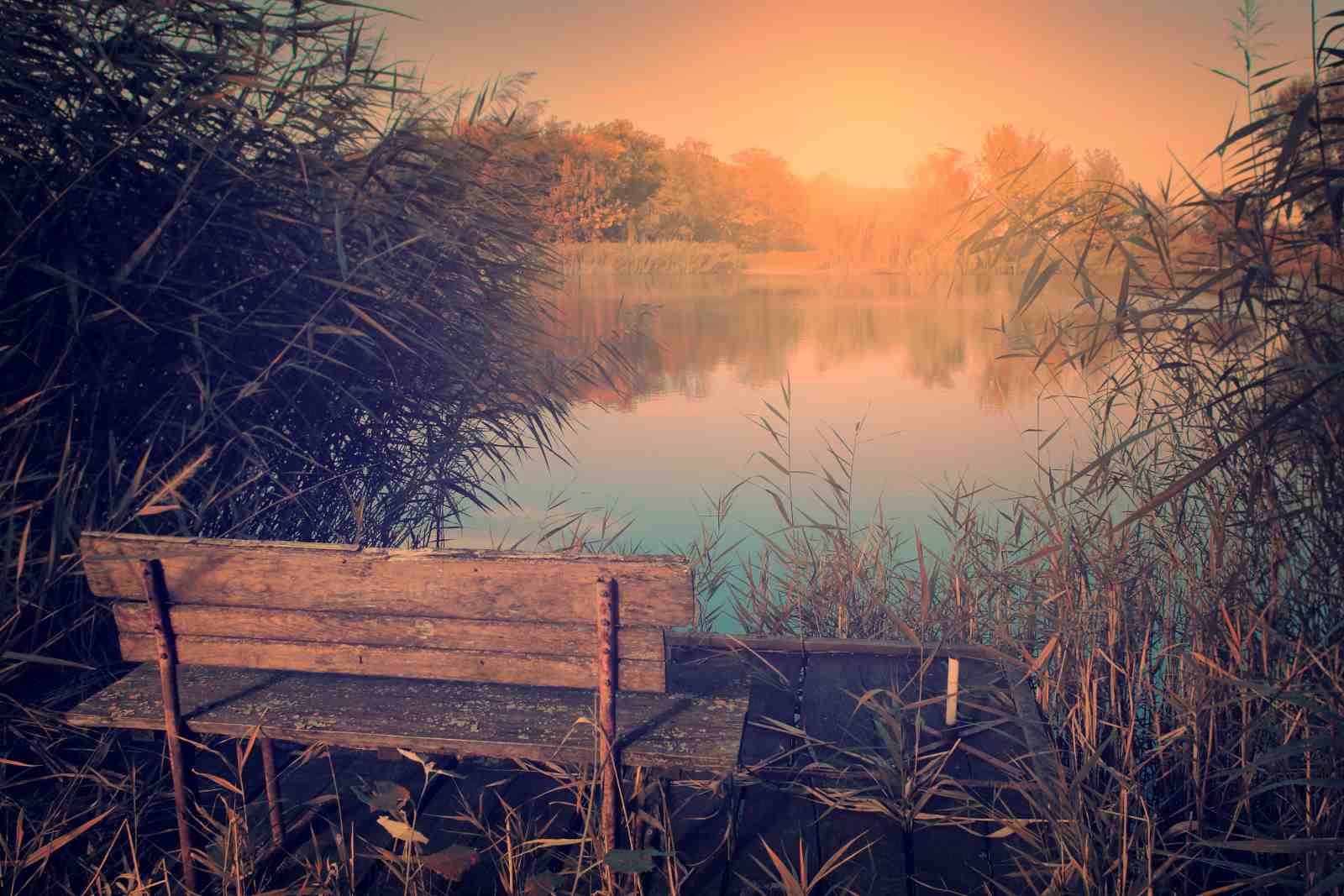 Tranquil Lakeside Bench Wall Art