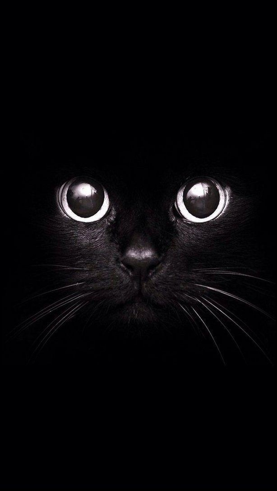 Mesmerizing Black Cat Eyes Wall Art