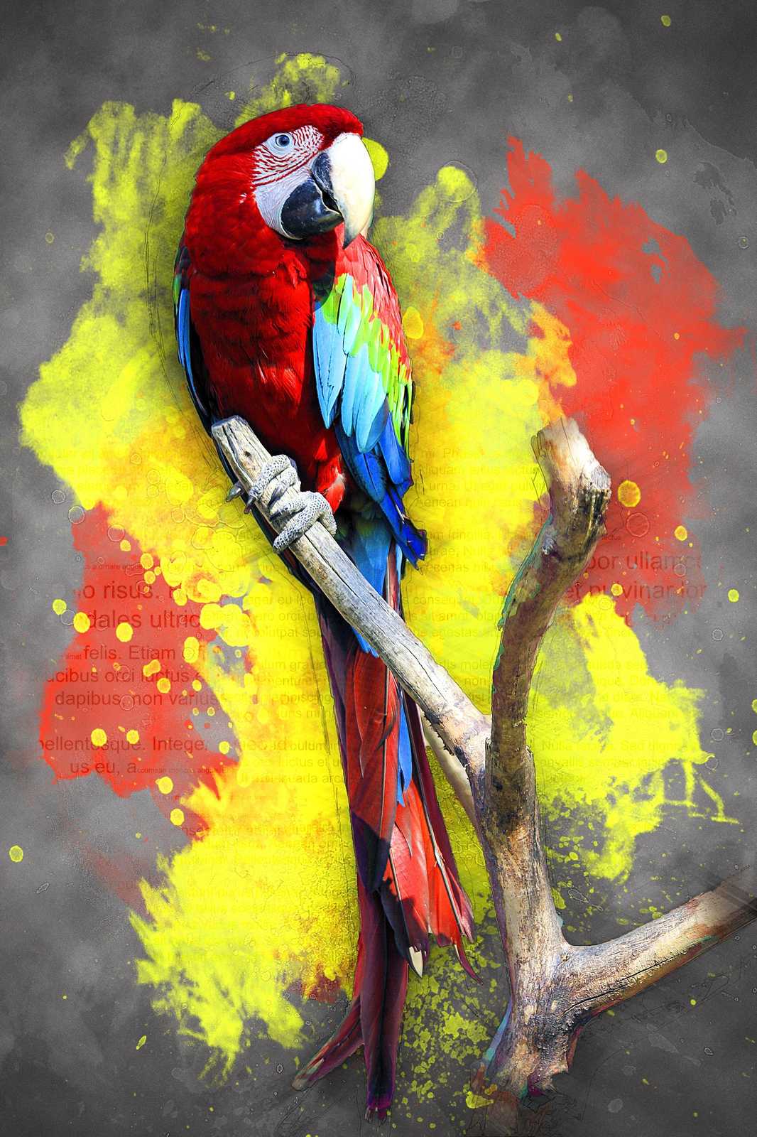 Vibrant Macaw Tropical Bird Wall Art Wall Art