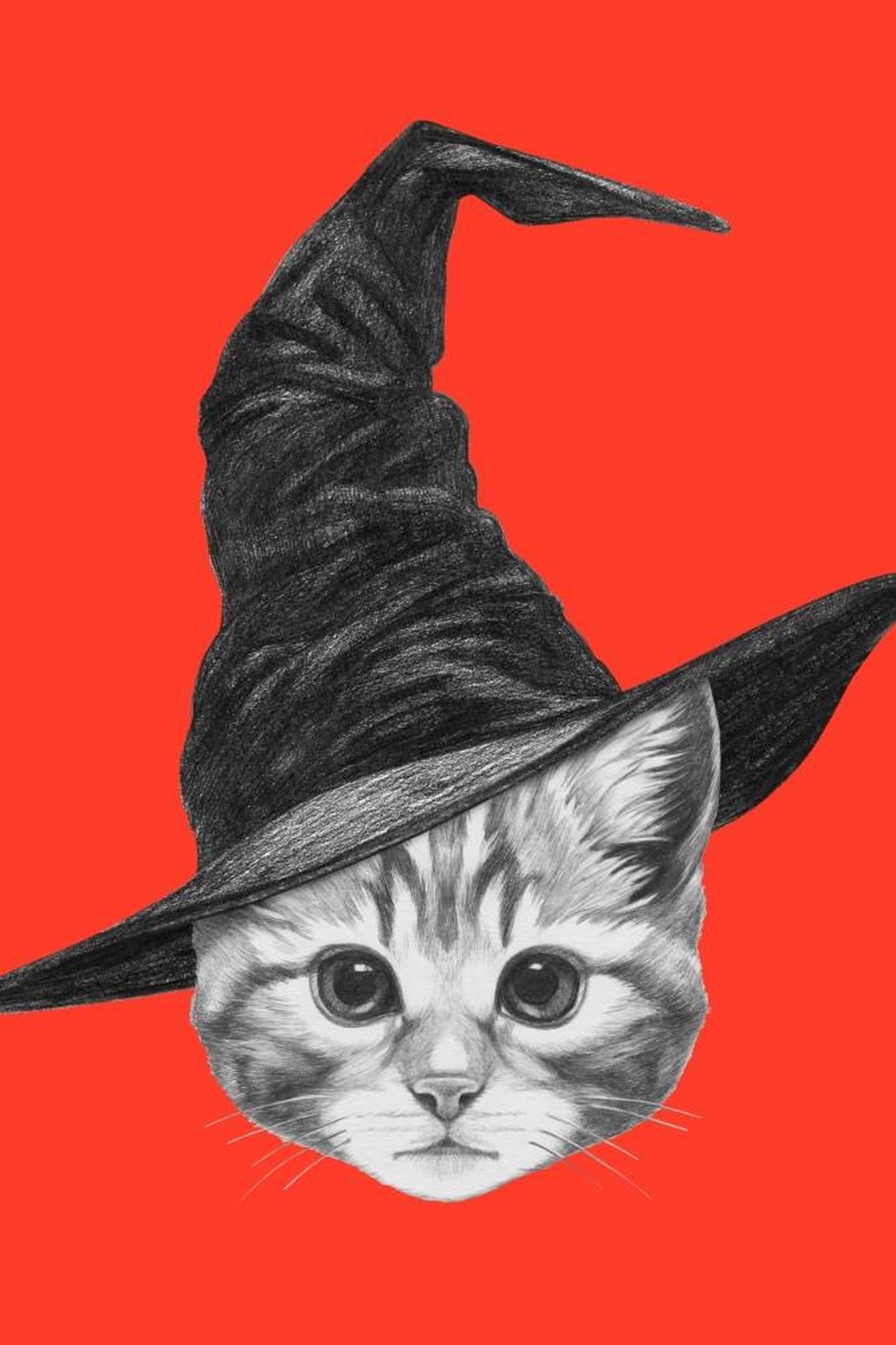 Whimsical Witch Cat Portrait Wall Art