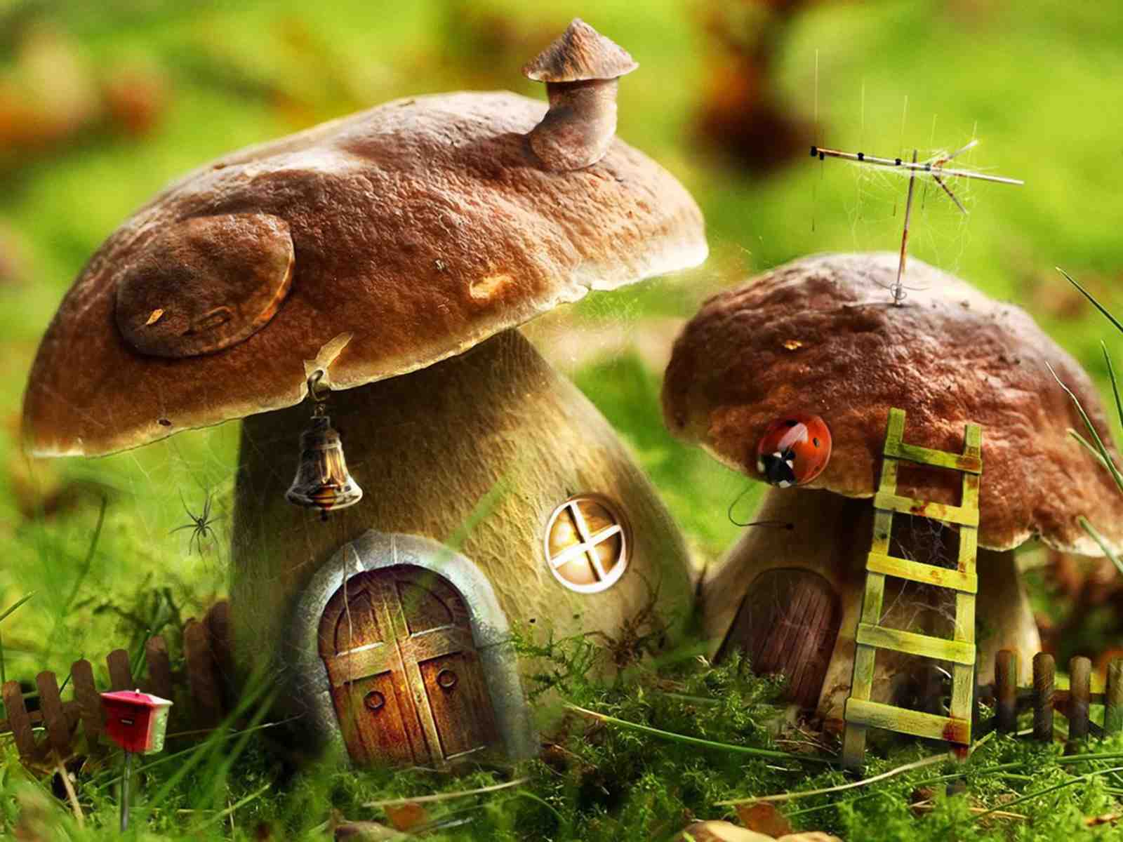 Enchanting Mushroom Houses Whimsical Wall Art