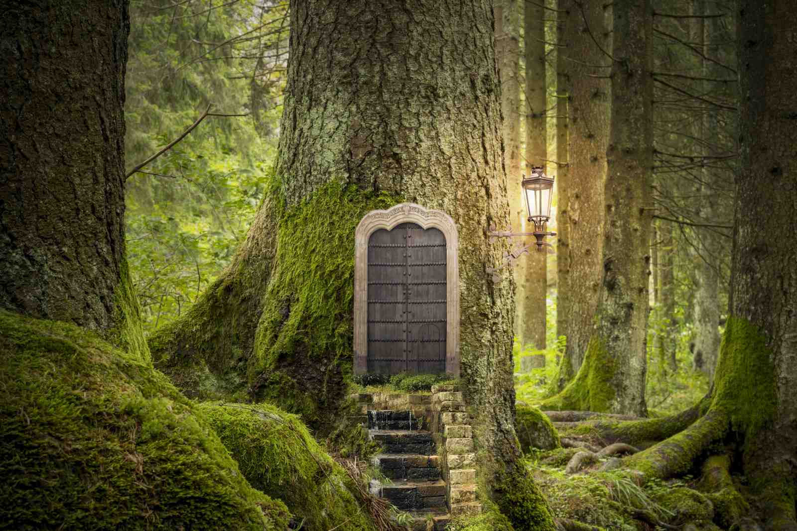 Enchanted Forest Doorway Wall Art