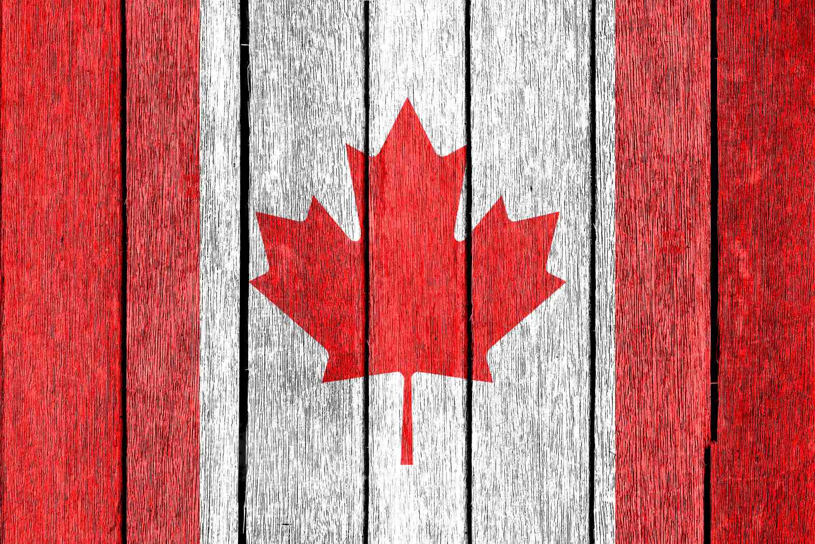 Rustic Canadian Flag Maple Leaf Wall Art