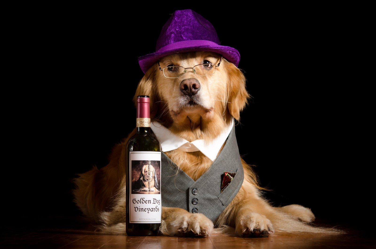 Dapper Golden Retriever Wine Bottle Wall Art