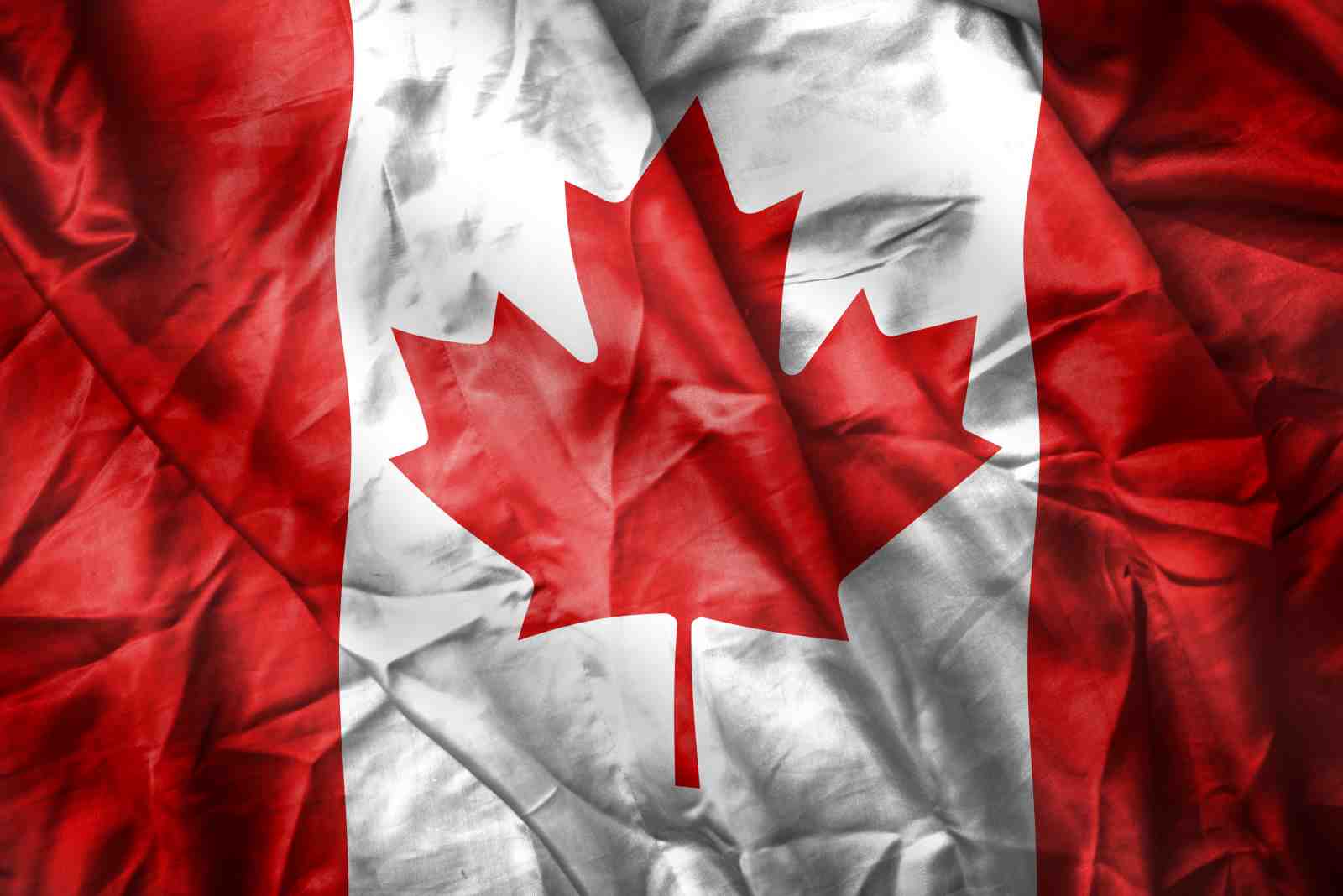 Canadian Maple Leaf Flag Wall Art Art
